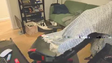 jimmygotya online show from 04/13/26, 02:00