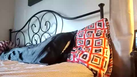 Snapshot of jimz169 chatting on 03/09/26, 10:25 Jimz14u online show from 03/09/26, 10:25