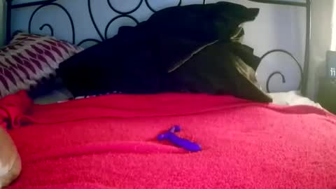 Snapshot of jimz169 chatting on 03/21/26, 03:55 Jimz14u online show from 03/21/26, 03:55