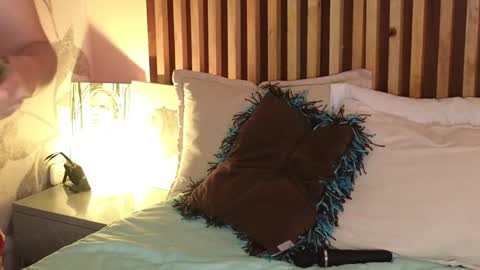 Jinx Vi online show from 12/05/24, 05:17