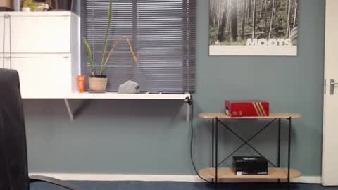 JamesJan van Rebel online show from 12/13/24, 11:34