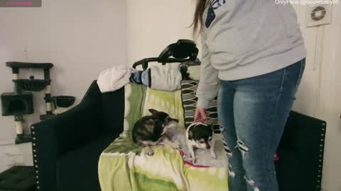 Snapshot of jjjust4fun1985 chatting on 12/15/24, 02:30 Nicole Allen online show from 12/15/24, 02:30