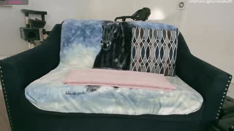 Snapshot of jjjust4fun1985 chatting on 01/01/25, 10:24 Nicole Allen online show from 01/01/25, 10:24