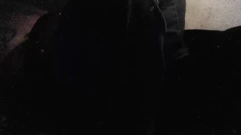 jjohnathan529 online show from 01/26/25, 03:58