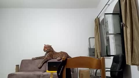 jlmbud online show from 10/20/25, 12:33