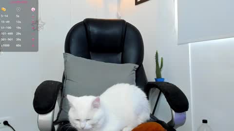 Snapshot of jmortton chatting on 12/01/25, 02:33 IGJmortton online show from 12/01/25, 02:33