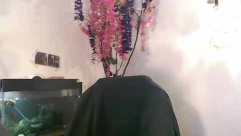 Nick online show from 12/06/24, 04:17