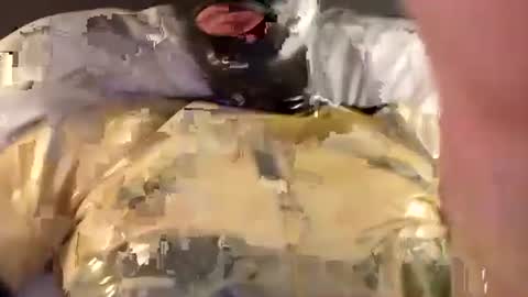 The sweetest toy online show from 12/11/24, 11:10