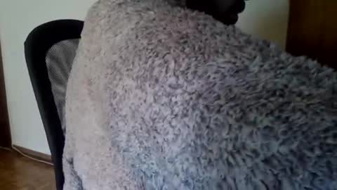 joaodias_18 online show from 12/13/24, 02:16