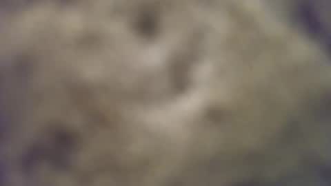 joemomma612 online show from 10/14/25, 03:40