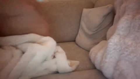 joeybanan online show from 12/14/25, 08:09