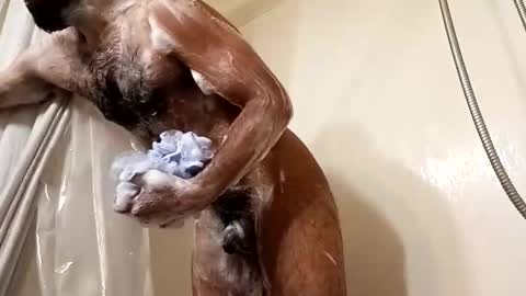 johenxxx online show from 11/25/25, 08:58