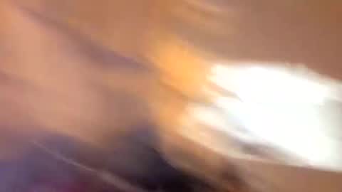 Snapshot of john0131739980 chatting on 09/19/25, 06:37 john0131739980 online show from 09/19/25, 06:37