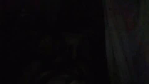 johnny online show from 06/28/26, 07:47