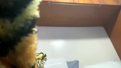 Snapshot of johnjow10 chatting on 02/08/25, 11:55 JOHN online show from 02/08/25, 11:55