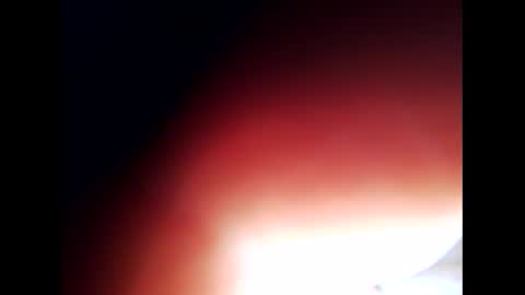 johnlong25cm online show from 12/24/24, 09:28