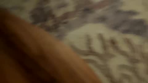 Snapshot of johnny235813 chatting on 09/18/25, 03:52 johnny235813 online show from 09/18/25, 03:52