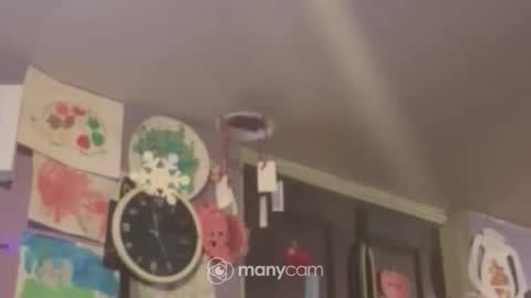 Snapshot of johnnyshung1 chatting on 12/16/24, 09:57 johnnyshung1 online show from 12/16/24, 09:57