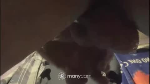 Snapshot of johnnyshung1 chatting on 02/02/25, 01:08 johnnyshung1 online show from 02/02/25, 01:08