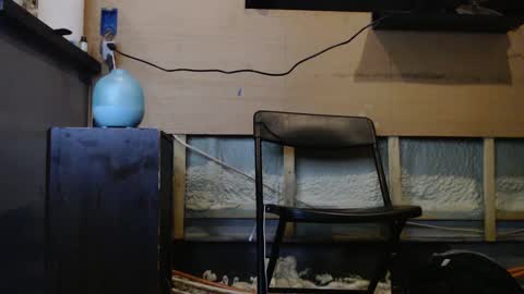 johnplayer23 online show from 01/06/25, 01:31