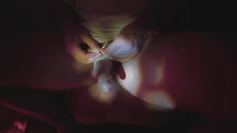 jonahshyfap online show from 01/09/25, 02:22