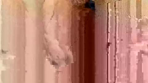 Snapshot of jonathanrossmyers858 chatting on 01/21/25, 03:48 jonathanrossmyers858 online show from 01/21/25, 03:48