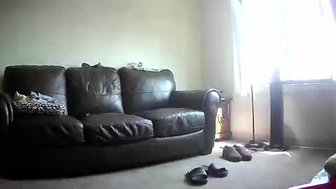 John online show from 06/08/26, 04:07