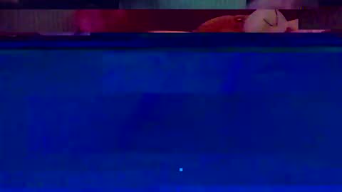 jooshi1981 online show from 02/12/26, 05:13