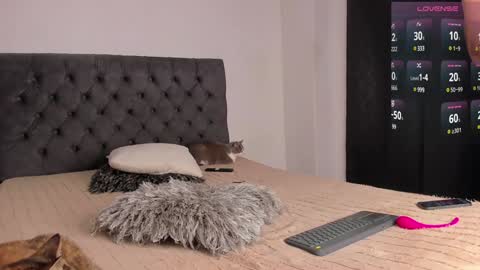 Will online show from 12/28/24, 11:37