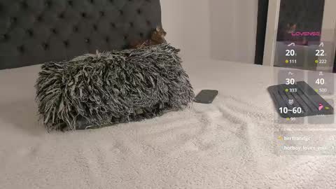 Will online show from 03/07/25, 10:54