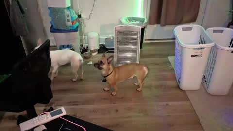 Snapshot of josefturner1 chatting on 04/17/26, 05:21 Josef online show from 04/17/26, 05:21