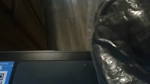 sissy josphine online show from 01/08/25, 11:09