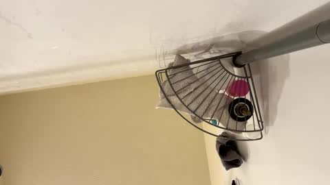 sissy josphine online show from 02/15/25, 06:23