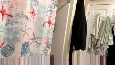 sissy josphine online show from 02/03/26, 03:37