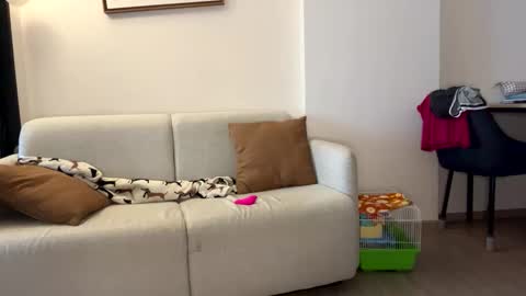 Snapshot of josh_xo chatting on 11/30/25, 12:25 josh_xo online show from 11/30/25, 12:25