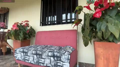 Im Jouliano online show from 02/08/26, 10:57