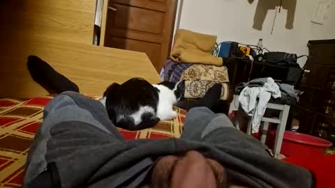 Snapshot of joyboy465468 chatting on 10/26/25, 04:02 joyboy465468 online show from 10/26/25, 04:02