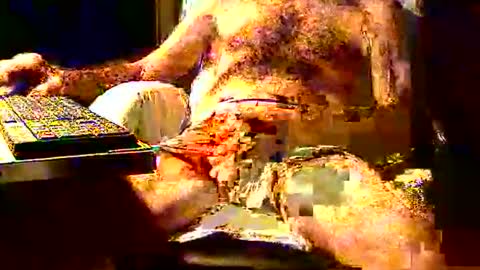 joystik4u60 online show from 11/02/25, 01:35