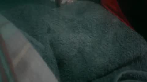 Snapshot of jraiven chatting on 05/19/26, 01:56 Soy Rai online show from 05/19/26, 01:56