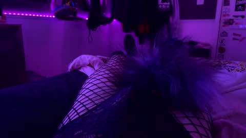 jrod11229 online show from 10/24/25, 02:30