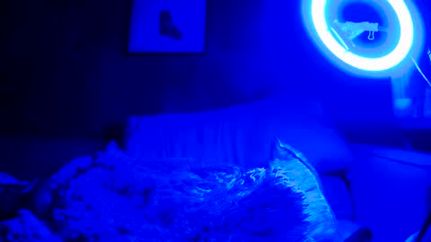 jroge21 online show from 03/09/25, 03:22