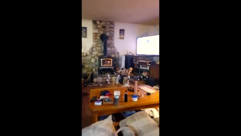 jsteger1465 online show from 02/24/26, 10:35