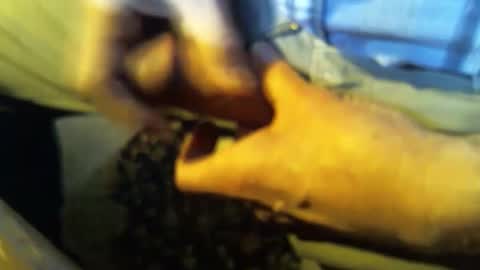 jt335577 online show from 01/27/25, 07:46