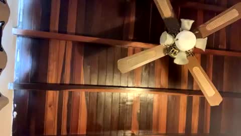 lJuanl online show from 06/16/26, 07:38
