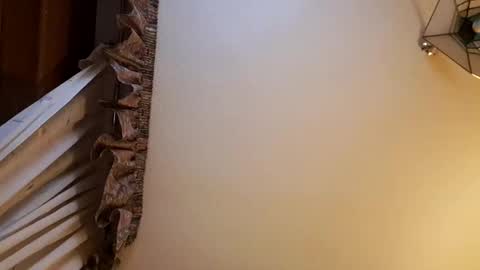 juanka85564456 online show from 02/28/25, 11:56