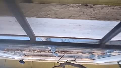 Carlos online show from 01/13/25, 07:31