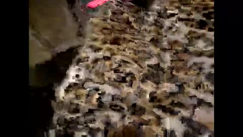 juicyslutx online show from 11/30/25, 07:07