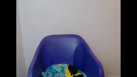 Snapshot of juicyxpink chatting on 02/21/25, 02:16 juicyxpink online show from 02/21/25, 02:16