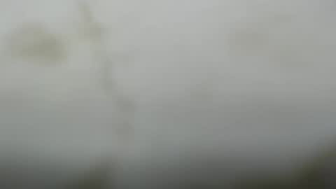 Snapshot of junk_yard_dog chatting on 03/10/26, 01:05 Dave online show from 03/10/26, 01:05