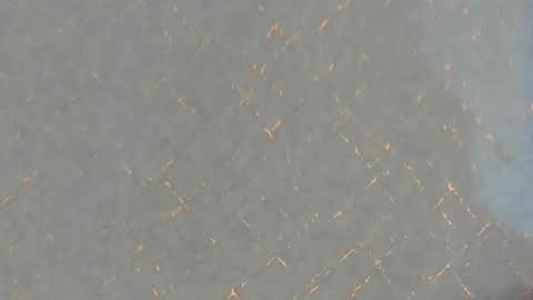 junosomnum online show from 03/01/25, 01:53